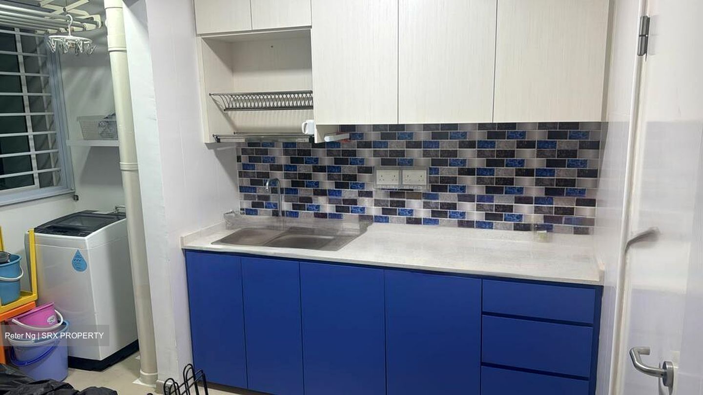 Blk 40A Skyoasis @ Dawson (Queenstown), HDB 3 Rooms #542937891